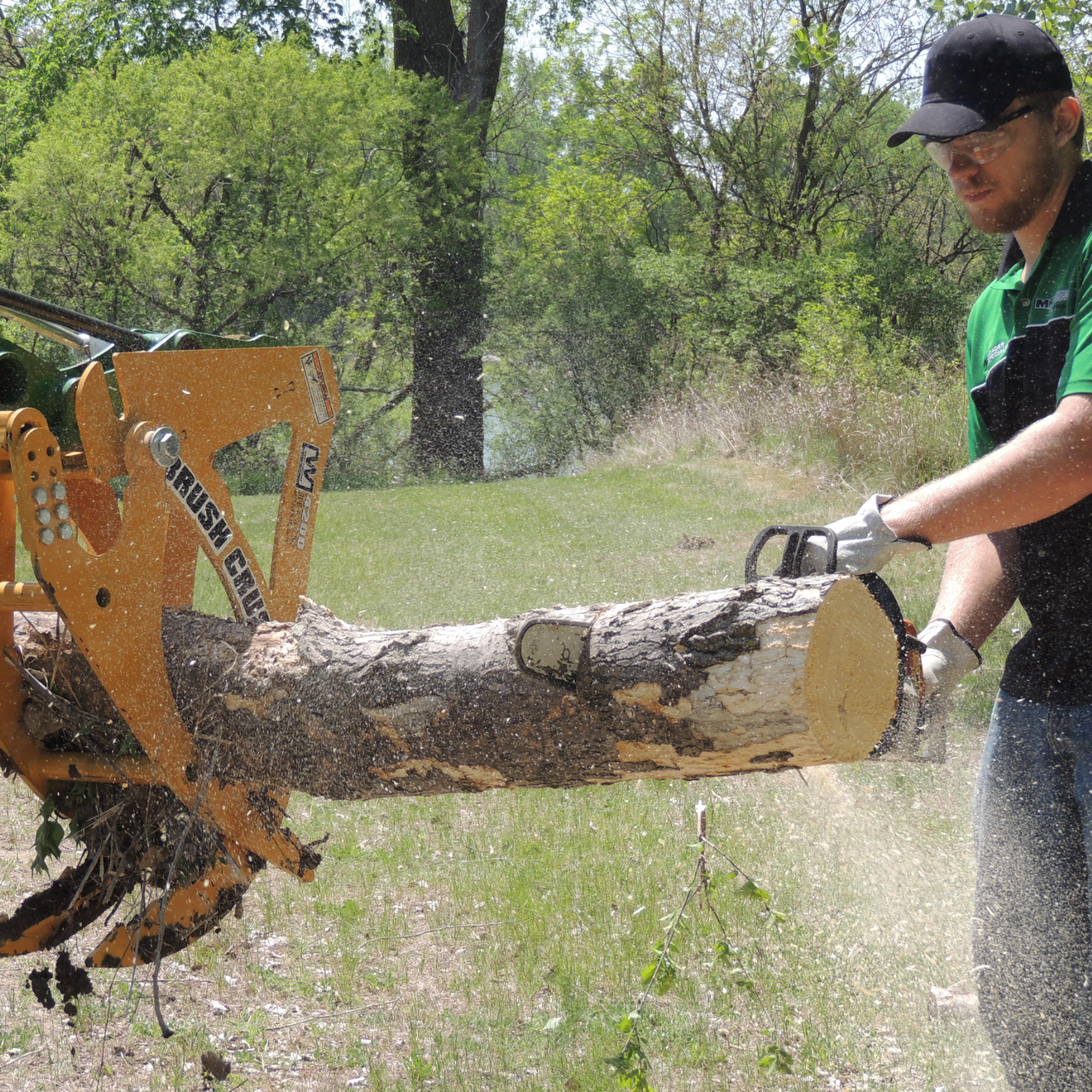 BC-4200 holds a log to be cut into firewood.